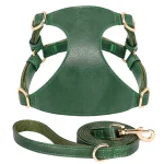 Gilet vert en cuir pour chat avec sa laisse