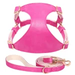 Harnais rose en cuir pour chat avec sa laisse