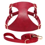 Gilet en cuir rouge pour chat avec sa laisse