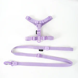 Harnais baudrier pour chat violet