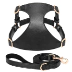 Harnais en cuir noir pour chat avec sa laisse