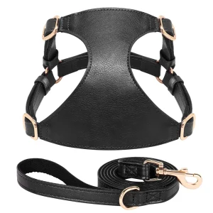 Harnais en cuir noir pour chat avec sa laisse