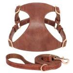 Harnais en cuir marron pour chat