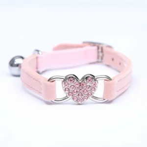 Collier Pour chat Élastique