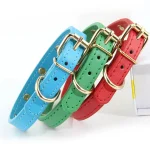 Collier pour chat en cuir anti-étranglement différentes couleurs