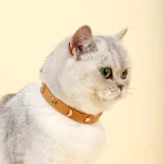 Chat qui porte un collier pour chat en cuir anti-étranglement marron clair
