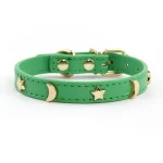 Collier pour chat en cuir anti-étranglement vert