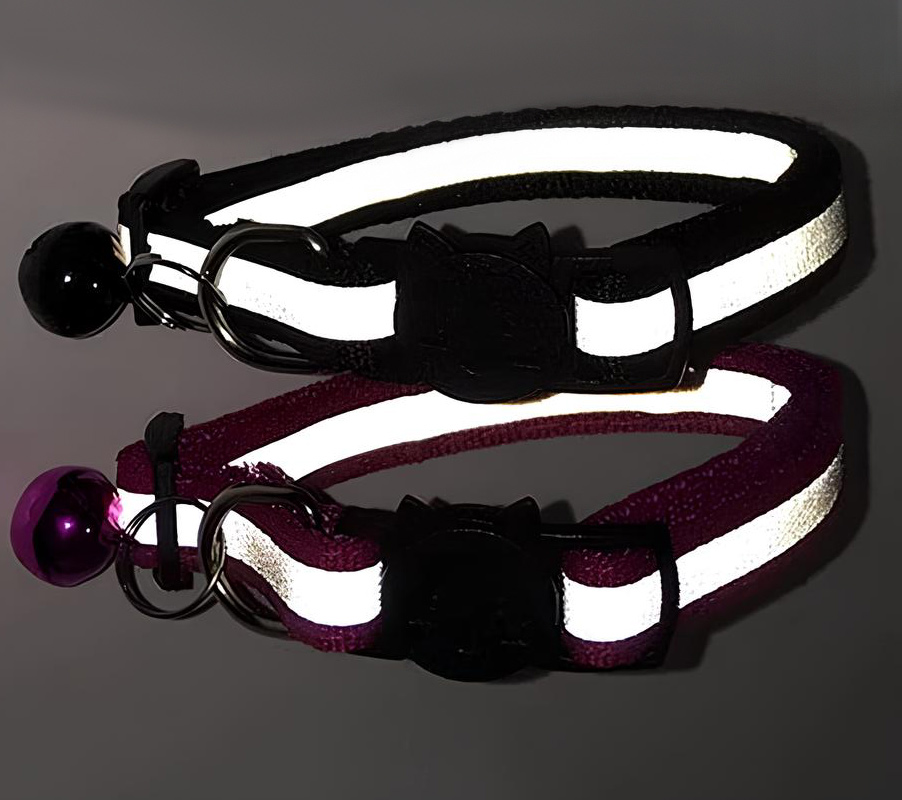 collier reflechissant pour chat