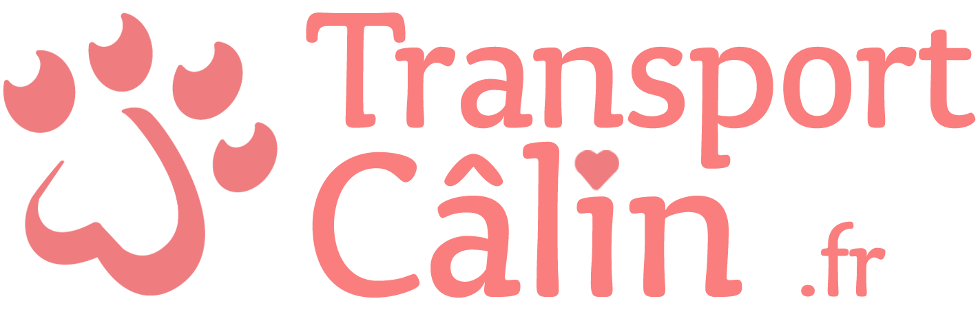 TransportCâlin