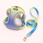 Harnais gilet jaune-bleu pour chat