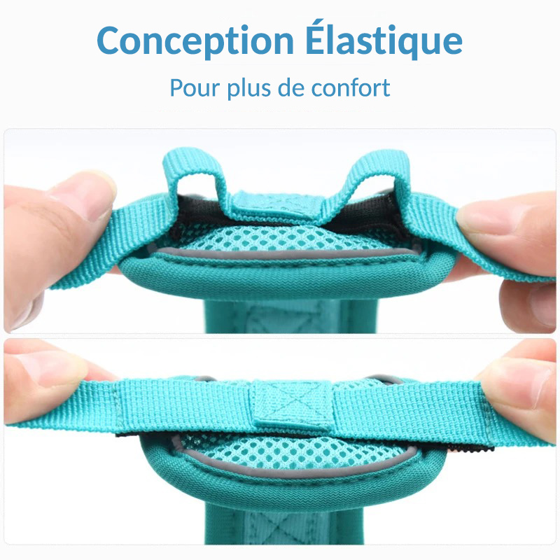 Harnais pour chat bleu anti-évasion avec conception élastique