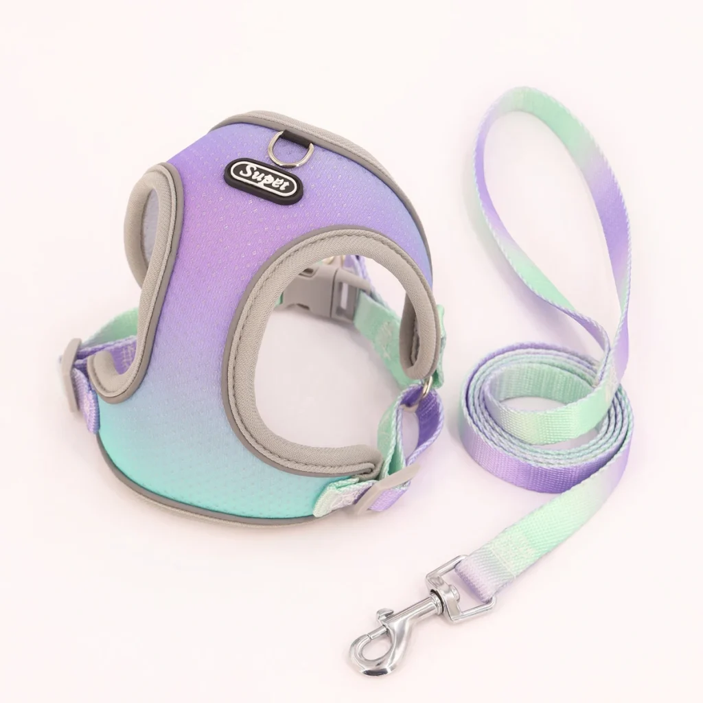 Harnais gilet pour chat violet-bleu ciel