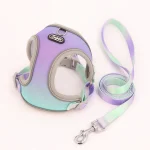 Harnais gilet pour chat violet-bleu ciel