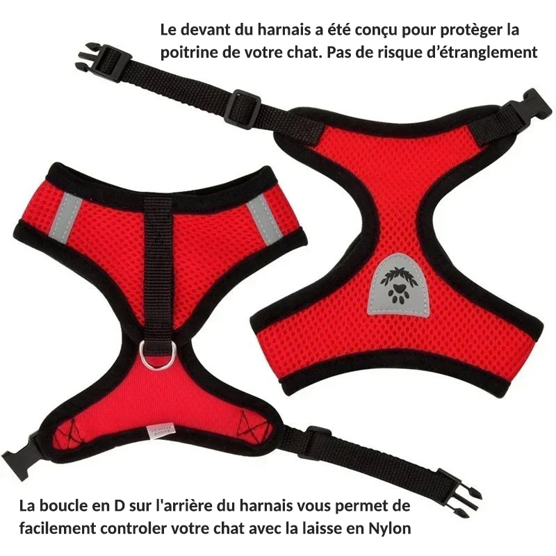 Harnais pour chaton rouge dos et avant