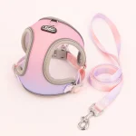 Harnais gilet pour chat rose-violet