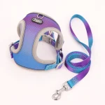 Harnais violet-bleu gilet pour chat