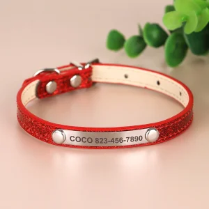 Collier rouge anti-étranglement pour chat personnalisable