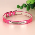 Collier anti-étranglement pour chat rose personnalisable