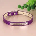 Collier pour chat personnalisable anti-étranglement violet