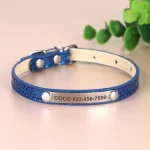 Collier bleu pour chat personnalisable anti-étranglement