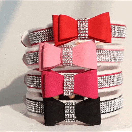 Colliers de Luxe pour Chatons avec noeud papillon