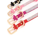 Colliers pour Chatons de Luxe réglable