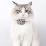Collier gris pour chat avec fleur