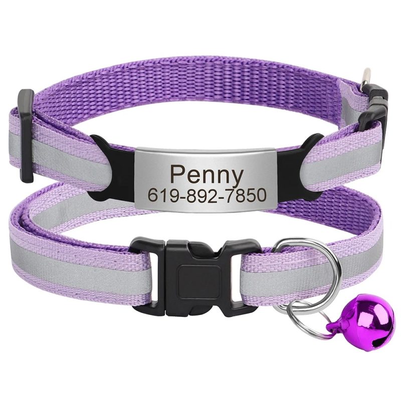 Collier violet Personnalisable pour Chat Réfléchissant