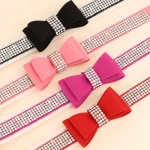 Colliers pour Chatons de Luxe avec noeud papillon