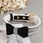 Collier pour Chaton noir de Luxe