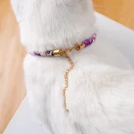 Chat qui porte un Collier avec Grelot pour Chat