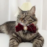 Collier rouge pour Chat en Velours avec Noeud Papillon