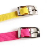 Collier en Cuir Élastique pour Chat ajustable