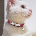 collier en cuir rouge pour chat personnalisable