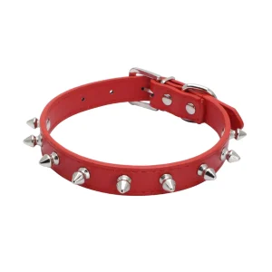 Collier à Clou pour Chat