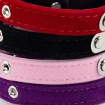 Collier pour Chat Personnalisable en Velours de qualité