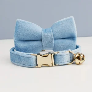 Collier pour Chat avec Gravure