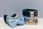 Collier avec Gravure pour Chat