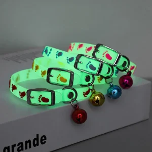 Collier pour Chat Lumineux avec empreintes de pas