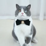 Collier pour Chat en Velours noir avec Noeud Papillon