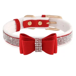 Collier de Luxe pour Chaton