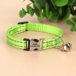 Collier Anti-Étranglement Personnalisable vert pour Chat
