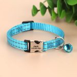 Collier Bleu ciel Anti-Étranglement pour Chat Personnalisable