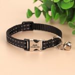 Collier Personnalisable Noir pour Chat Anti-Étranglement
