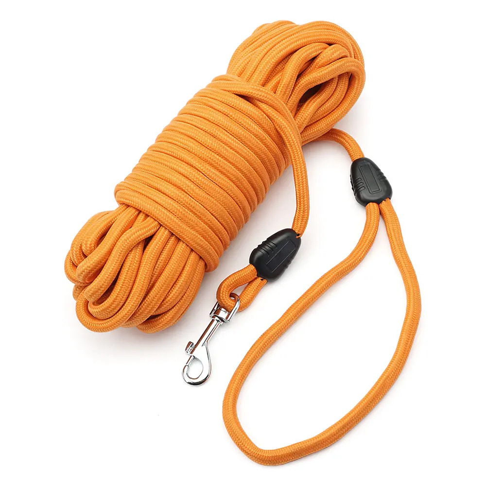 Laisse pour chat grande orange