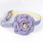 Collier bleu pour chat avec fleur