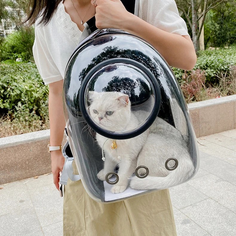 Sac à Dos Bulle pour Chat avec bonne aération