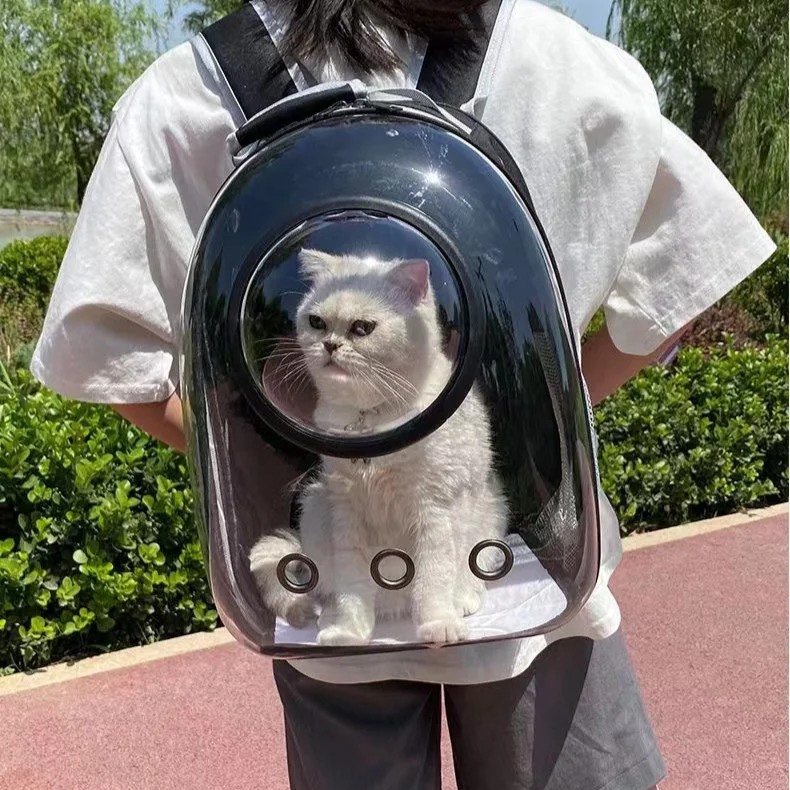 Sac à Dos Bulle pour Chat ergonomique