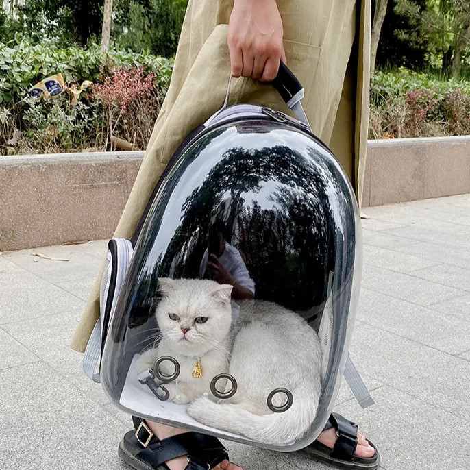 Sac à Dos Bulle pour Chat sécuritaire
