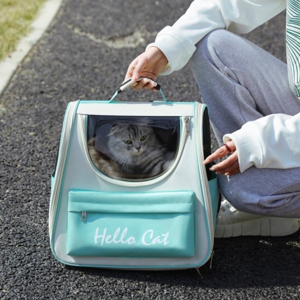 Sac à dos pour chaton avec ventilation